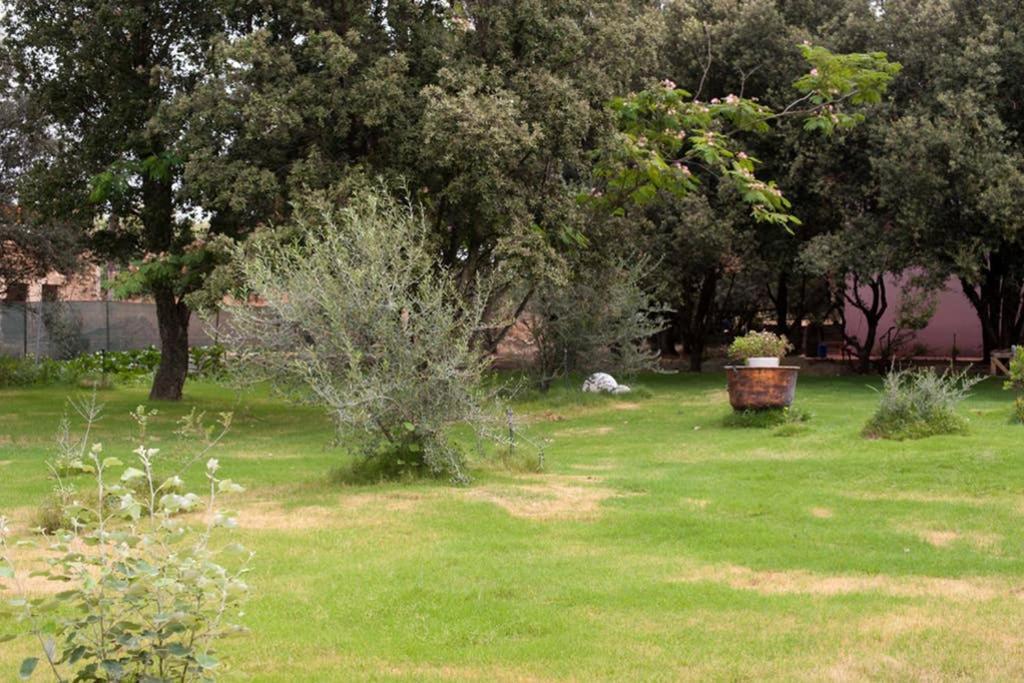 Loft Mansardato Con Giardino E Piscina In Villa Privata Loft With Garden And Swimming Pool In A Private Villa Sestu Exteriör bild