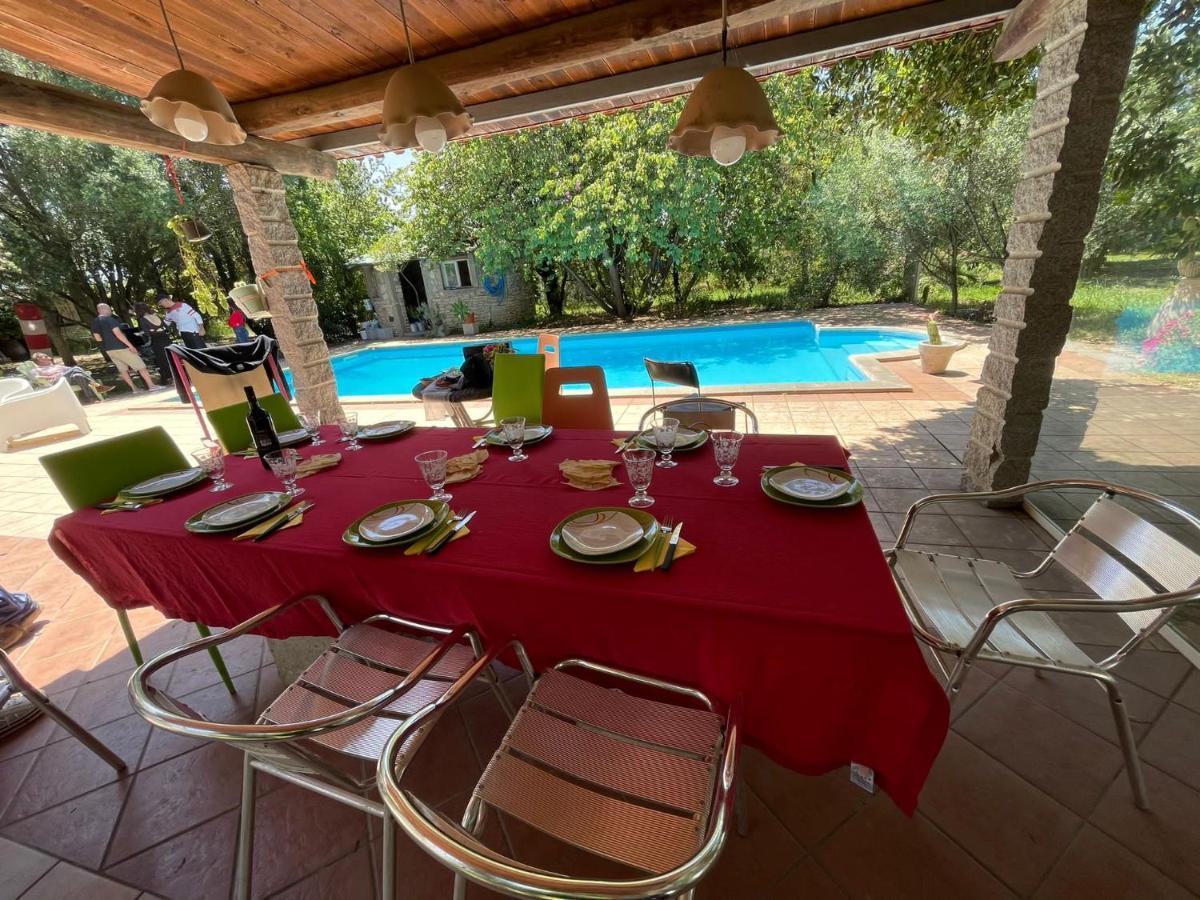 Loft Mansardato Con Giardino E Piscina In Villa Privata Loft With Garden And Swimming Pool In A Private Villa Sestu Exteriör bild