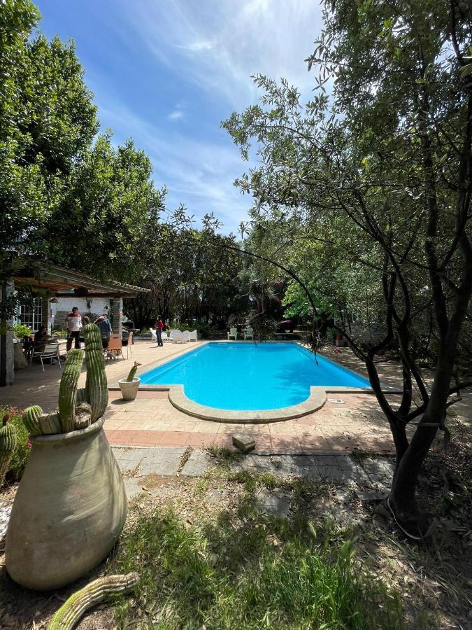 Loft Mansardato Con Giardino E Piscina In Villa Privata Loft With Garden And Swimming Pool In A Private Villa Sestu Exteriör bild